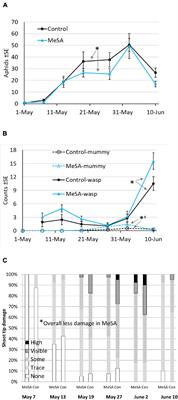 Methyl Salicylate Can Benefit Ornamental Pest Control, and Does Not Alter Per Capita Predator Consumption at Close-Range